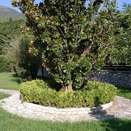 Diro 1 Vasiliki